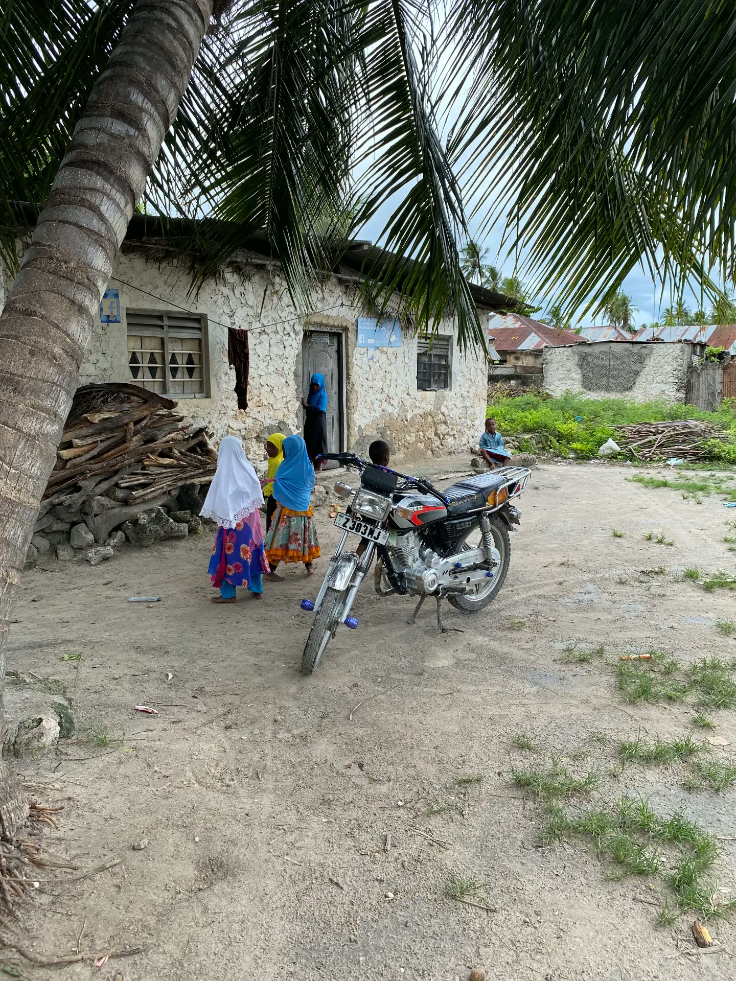 Village life under the palms in Zanzibar