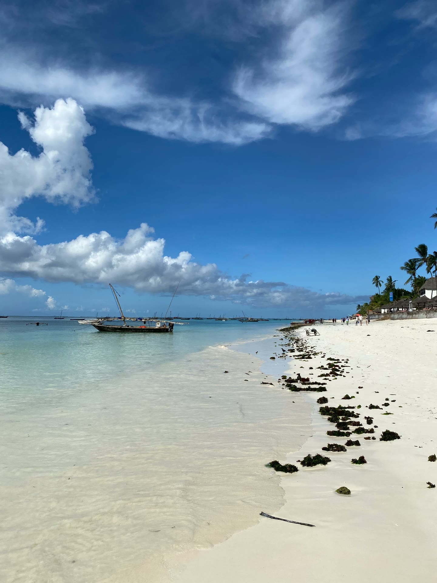 Dhow boats along the Zanzibar shoreline